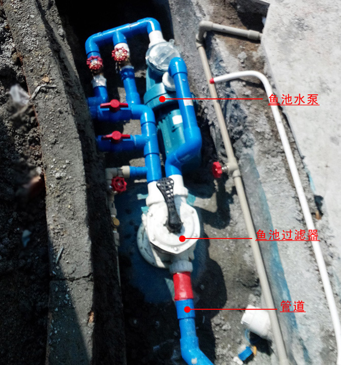 魚池水質凈化過濾系統